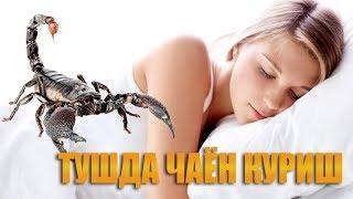 Туш табири - тушда чаён куриш