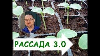 Как вырастить рассаду? Версия 3.0 - интенсивное возделывание.