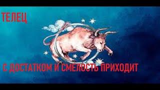 Телец знак зодиака - характеристика. Школа астрологии Virgo в Астане