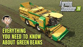 ALL YOU NEED TO KNOW ABOUT GREEN BEANS ON FARMING SIMULATOR 25 INFO SHARING!