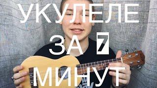 УКУЛЕЛЕ ЗА 7 МИНУТ | КАК НАУЧИТЬСЯ ИГРАТЬ НА УКУЛЕЛЕ С НУЛЯ