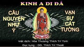 Kinh A Di Đà ( Có Chữ - Dịch Nghĩa ) - ĐĐ.Thích Trí Thoát Tụng