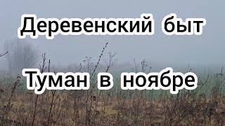 Туман в ноябре  Деревенский быт 