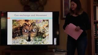 Phoronida Presentation