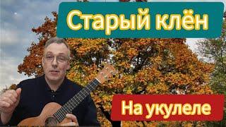 СТАРЫЙ КЛЁН на укулеле Табы