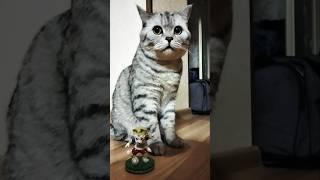 Начни всё сначала #мудрыемысли #мысли #психология #цитаты #мудрость #cat #видосыоткота #кот
