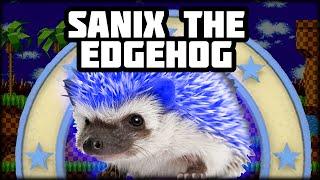 HYPER REALISTIC HEDGEHOG - Sanix The Edgehog Adventure 2DX