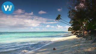 Cook Islands - Welcome to Paradise! (360° - GEO Reportage)