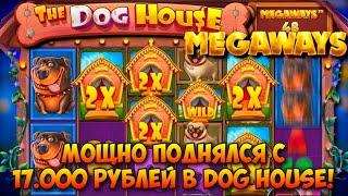 Я ДОЖАЛ DOG HOUSE! / ФУЛЛСКРИН И 800Х В MULTIHOLD / ВЫБИЛ ПОЛЯНУ БУДОК И СОРВАЛ КУШ В MEGAWAYS!