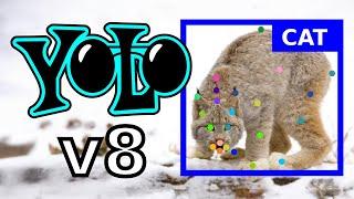 Yolov8 FULL TUTORIAL | Detection | Classification | Segmentation | Pose | Computer vision