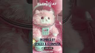 Explore the Unknown with ElonXCat’s Vision