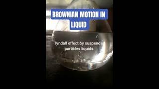 Brownian motion in liquid- #chemistrylover #chemistryeducation #