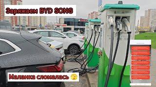 BYD Song Plus 2024 как зарядить электромобиль в Минске? Маланка сломалась(((