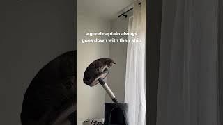 Memes V182