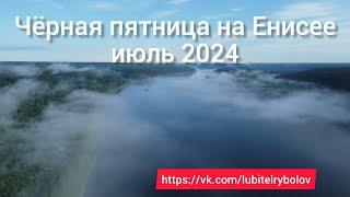 ЧЁРНАЯ ПЯТНИЦА НА ЕНИСЕЕ! Ловим крупного хариуса в пятницу, что творит чёрная муха 