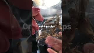 Cricket chips