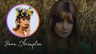 Jean Shrimpton Is Now Almost 82 How She Lives Is Sad, Try Not To Gasp