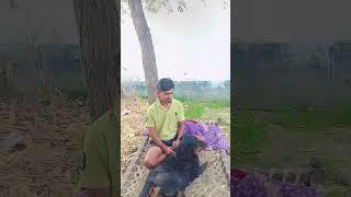 #trending #shortvideo #yaduvanshi