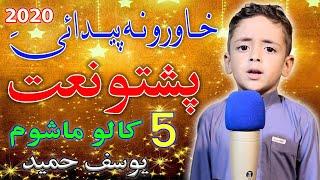 Pashto New HD Naat BY Yousaf Hameed || khaoro na peda ye