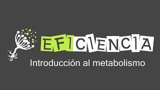 INTRODUCCIÓN AL METABOLISMO. Catabolismo Anabolismo Autótrofos Heterótrofos