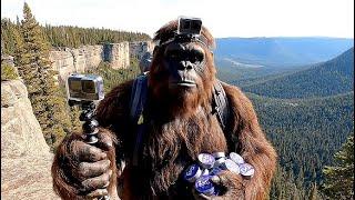 Hilarious Tiktok bigfoot compliation