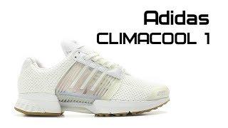 Обзор кроссовок Adidas CLIMACOOL 1