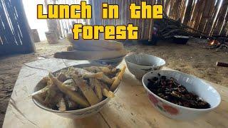 Harvest Bamboo Shoots and Catch Spiders | Idyllic Life