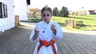 Karate für zu Hause Kampf dem Virus Teil------Karate for home, fight the virus Part 1