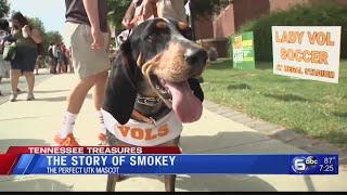 The story of Smokey: UT's Mascot