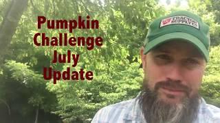 Whistle Thicket's Pumpkin Challenge 2017 : July Update and Prizes!