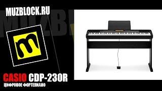 Casio CDP-230R - цифровое фортепиано, обзор