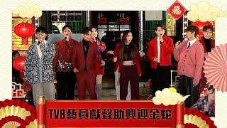 喜迎金蛇慶豐年｜TVB藝員獻聲助興迎金蛇 #TVB #聲夢傳奇 #中年好聲音