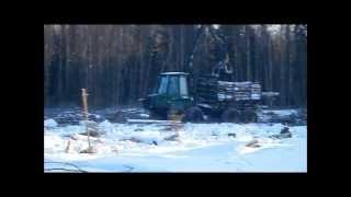 Timberjack 810C + falling some big trees with stihl chainsaw