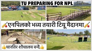 एनपिलको यस्तो भव्य तयारी टियू क्रिकेट मैदानमा TU Cricket Ground NPL Latest Update