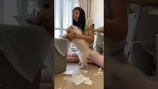 she caused so SHE CLEANS IT UP |Justavenna | Kid polyglot ️