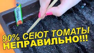 СЕЙТЕ ТОМАТЫ ТОЛЬКО ТАК!!!! САМЫЙ ПРОСТОЙ И ВЕРНЫЙ СПОСОБ