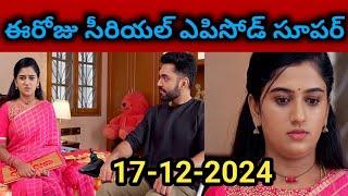 Paape Maa Jeevana Jyothi Serial Today Episode 17-12-2024 Full Video