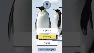 QUIZ Continent Antarctica #quiz #knowledge #world  #facts