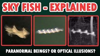 Sky Fish Explained - What Are Flying Rods?