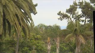My Broadcast Live from the Window here in Malibu.