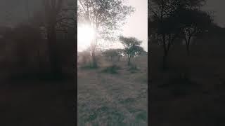 Garib Rath Ki Duniya Hai