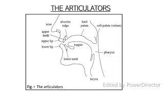 Speech Therapy Techniques: My Child's Speech is Hard to Understand| What is Articulation?
