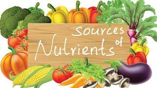 Source of Nutrients | Nutrient Foods | Nutrients | Learn to Remember