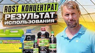 ROST КОНЦЕНТРАТ. Результат многолетнего опыта использования удобрения.