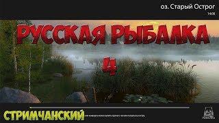 Русская Рыбалка 4: ЗА СОМОМ #1