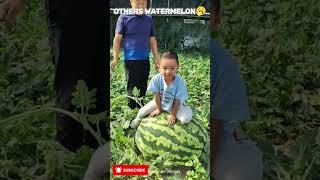Others watermelon vs This Guy.
