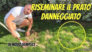 Come Rigenerare riseminare un prato rovinato a settembre