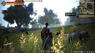 Black Desert Gameplay (PC HD) [1080p60FPS]