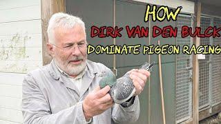 Dirk Van Den Bulck: The Untold Story Behind the World’s Most Legendary Racing Pigeons