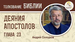 Деяния Святых Апостолов. Глава 23. Андрей Солодков. Новый Завет